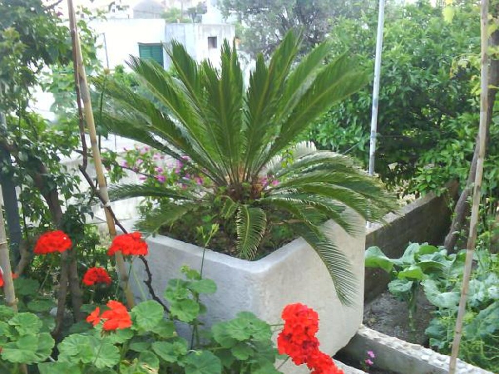 Image 3811529 - 6