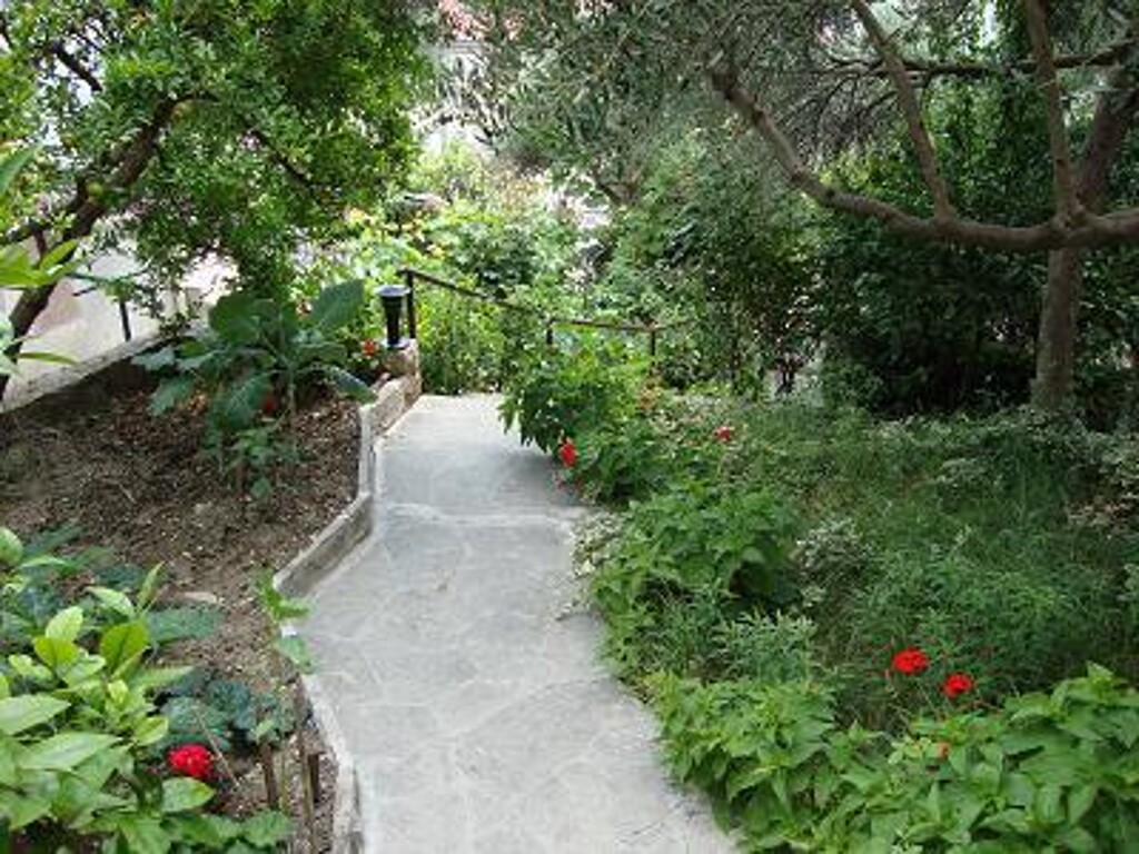 Image 3810607 - 2