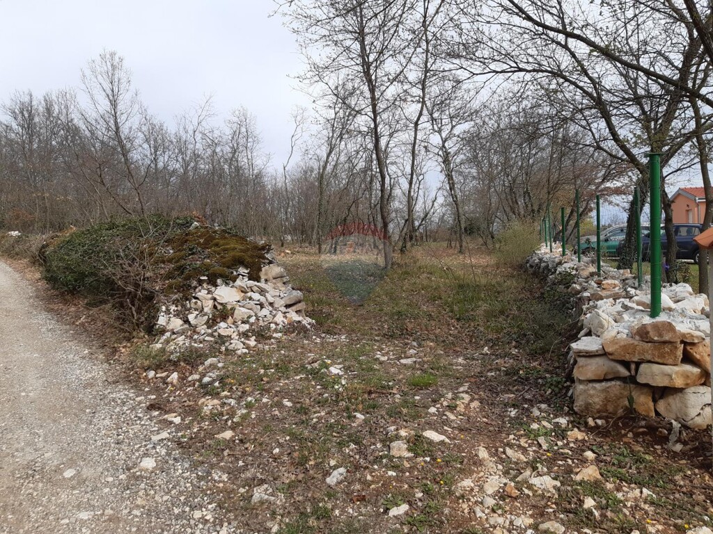 Image 5429847 - 2