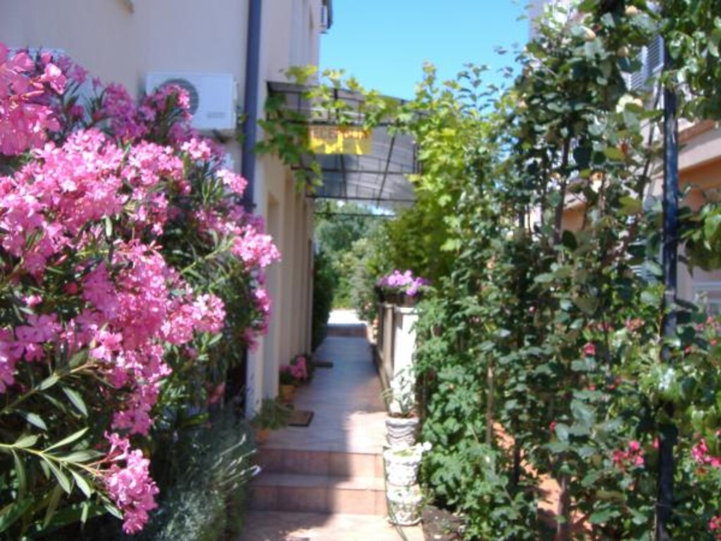 Image 3813236 - 11
