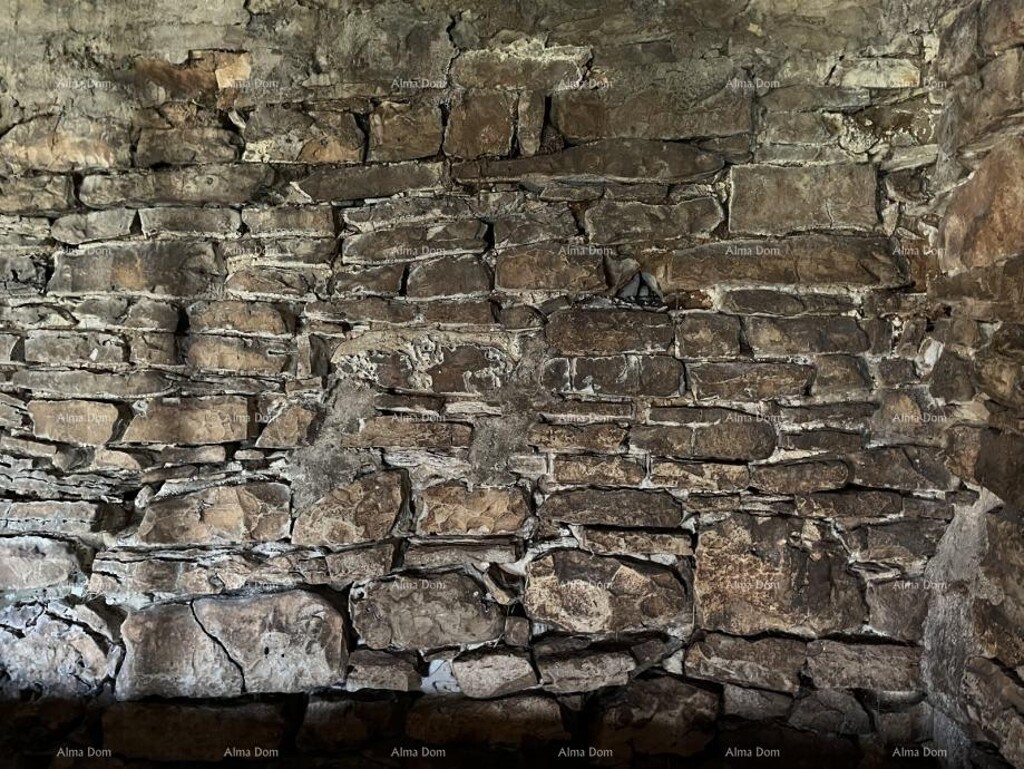 Image 18