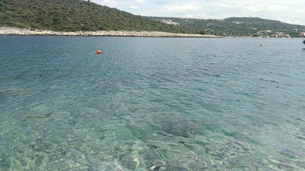 Image 3812308 - 11
