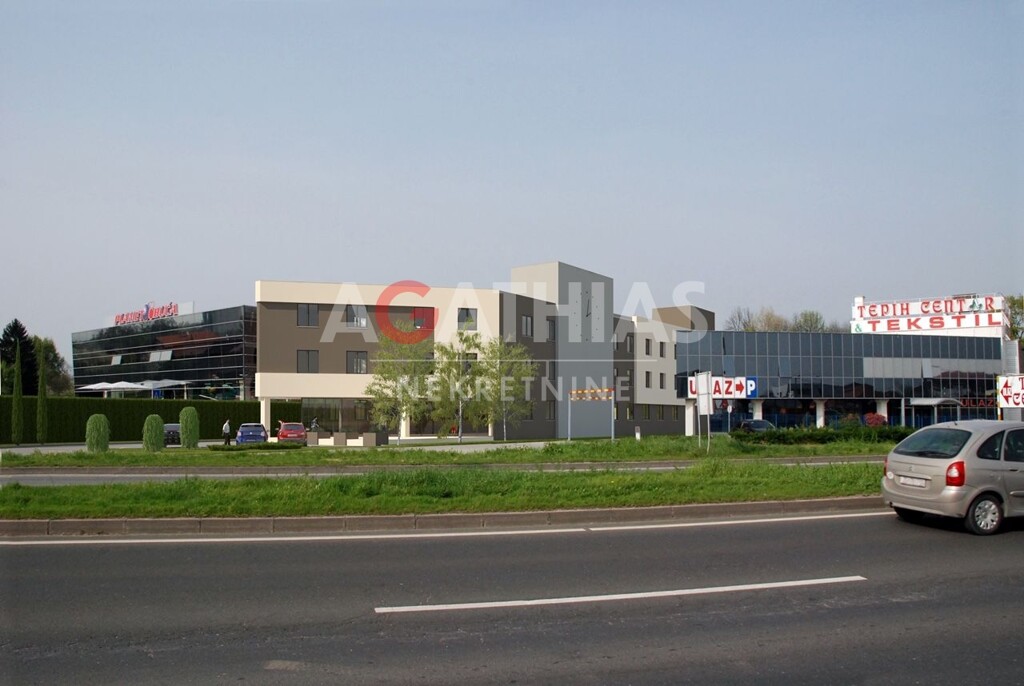 Image 5