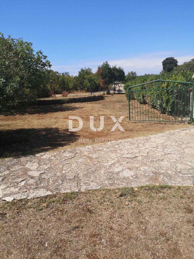 Image 13