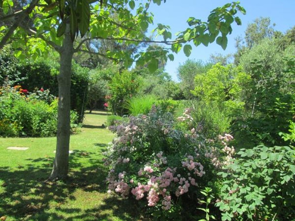 Image 14