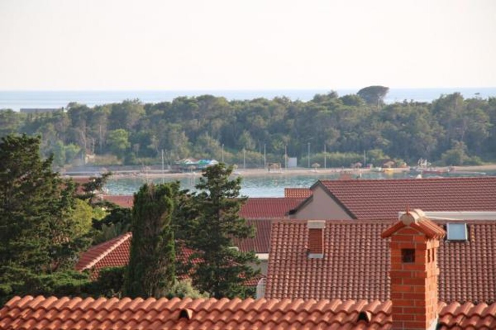 Image 3815020 - 7