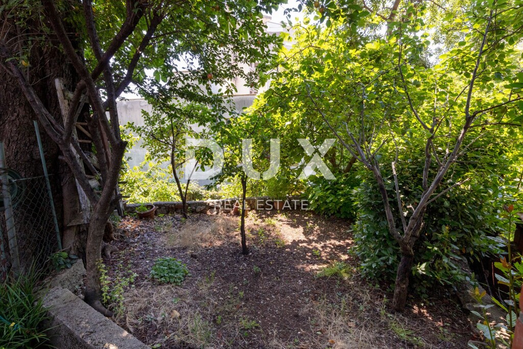 Image 20