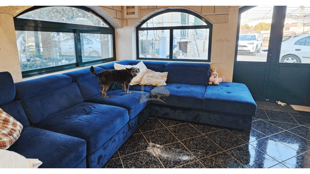 Image 21