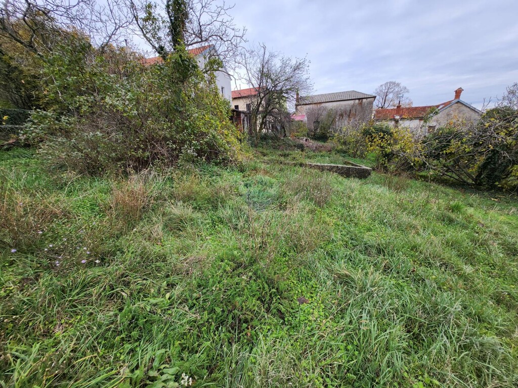 Image 19