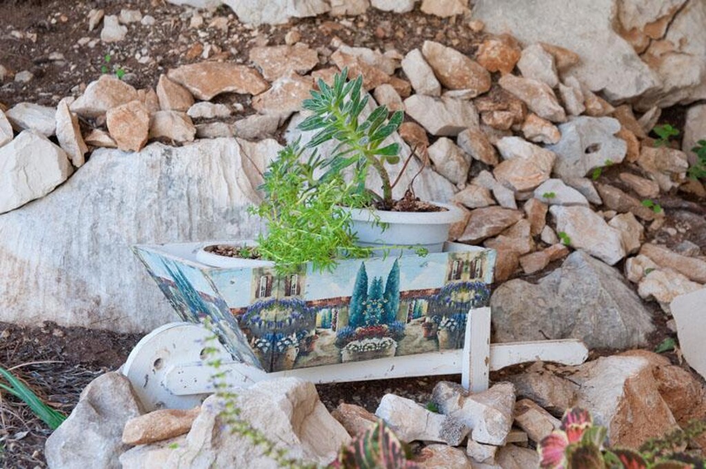 Image 15