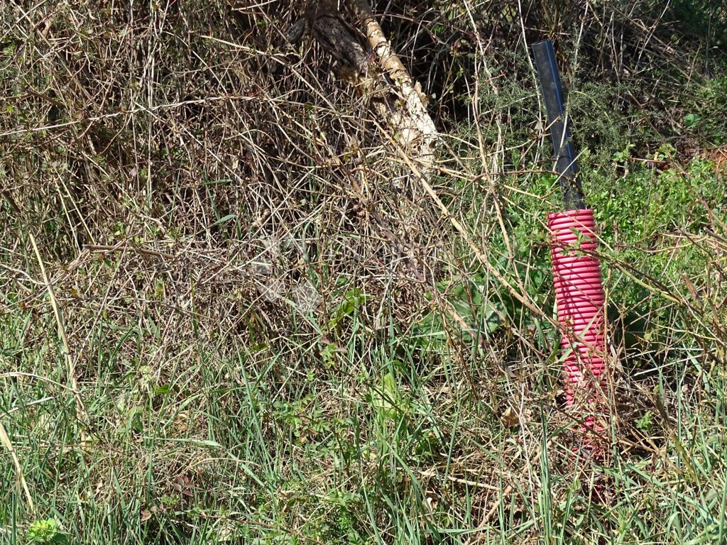 Image 13