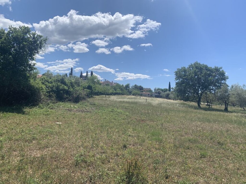 Image 14