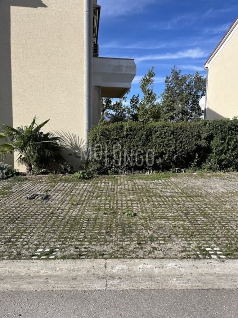 Image 13