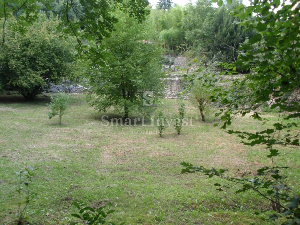Image 12