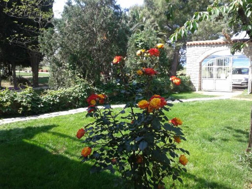 Image 3810856 - 3