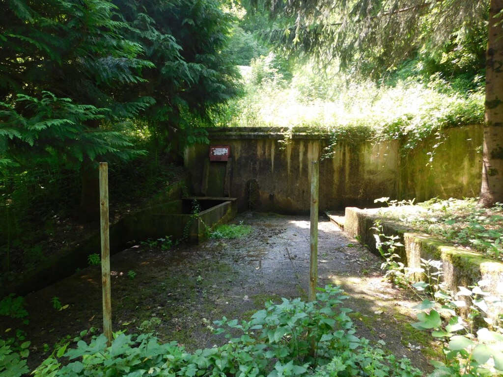 Image 6