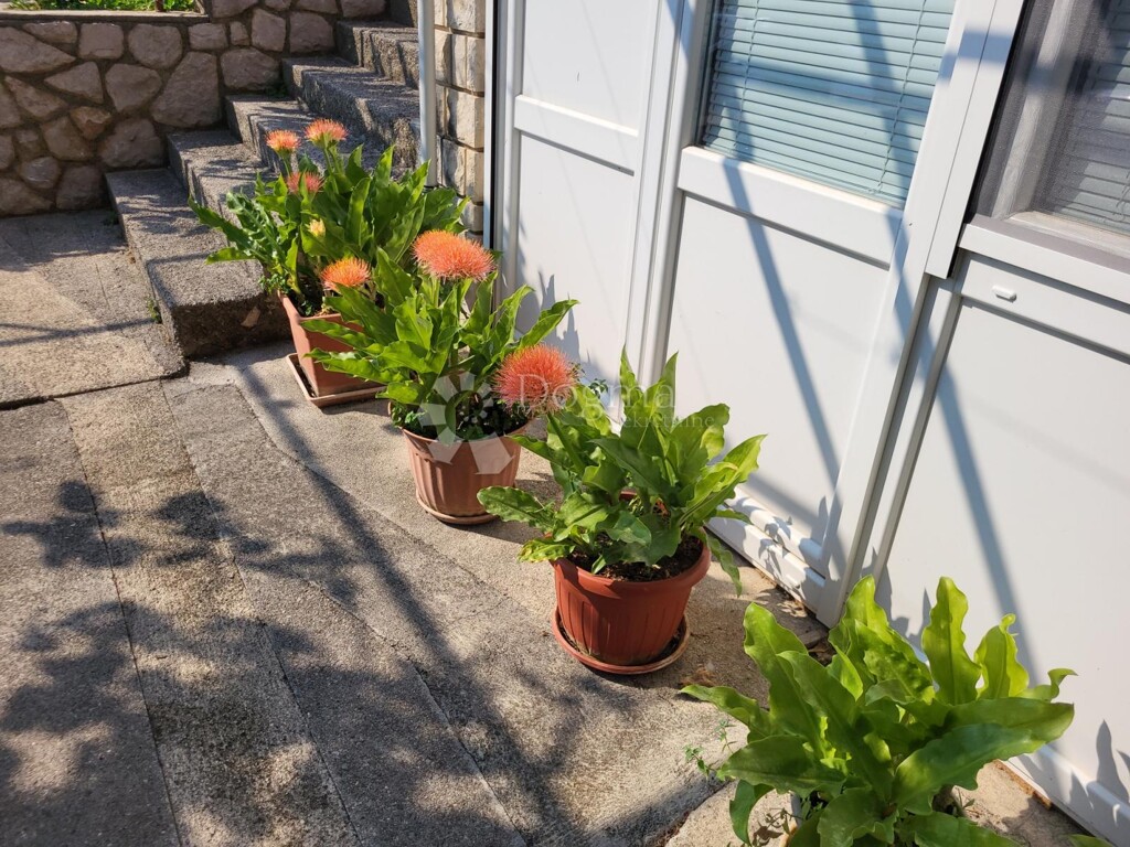 Image 15