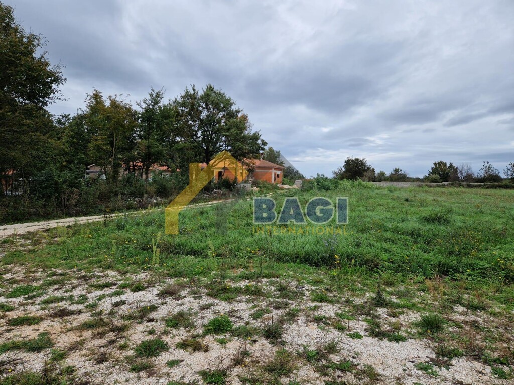 Image 13