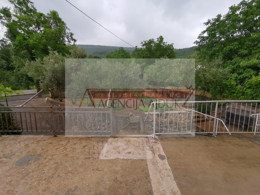 Image 13