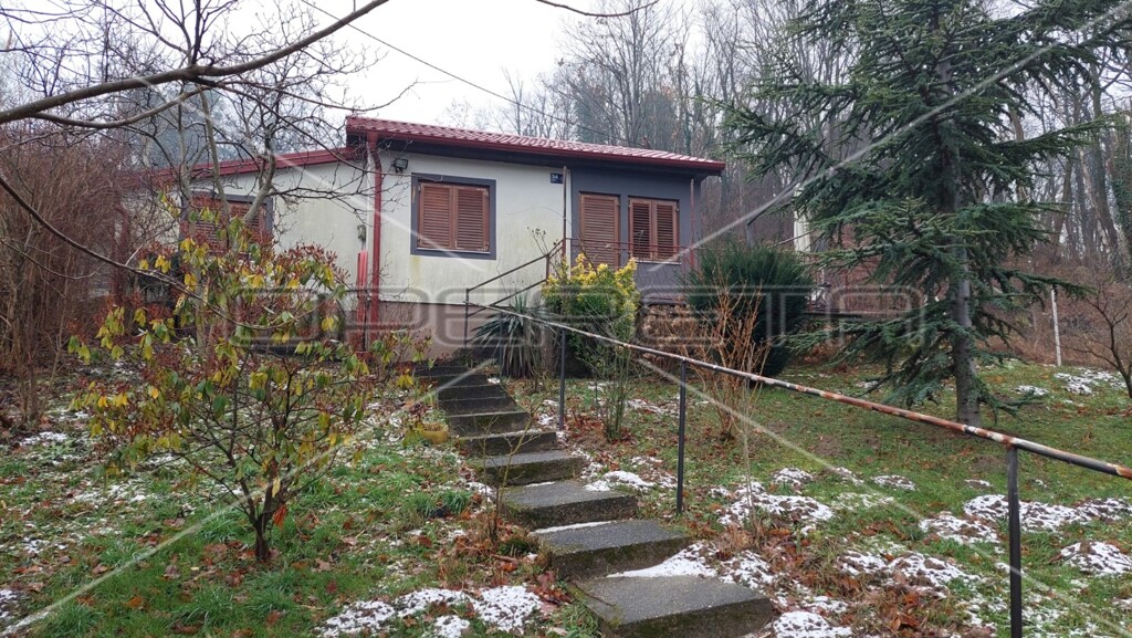 Image 6163725 - 2