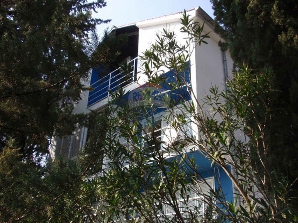 Image 5411062 - 3