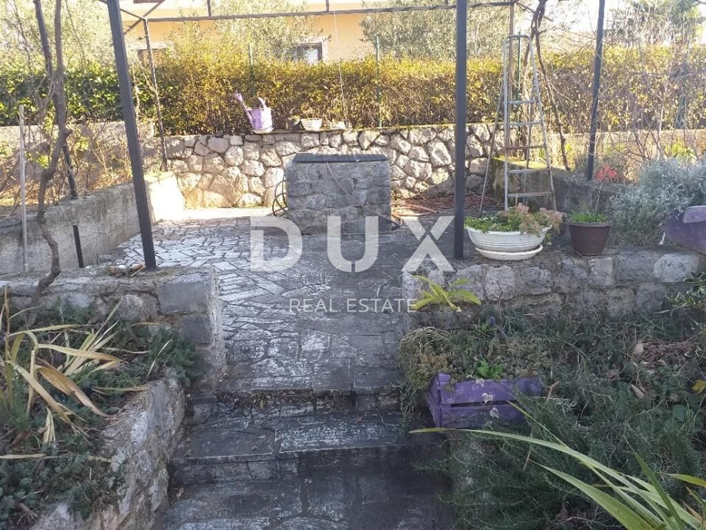 Image 15