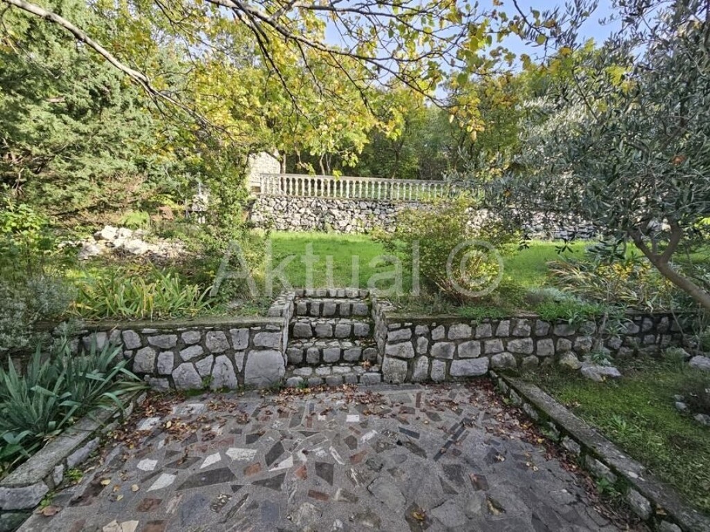 Image 15