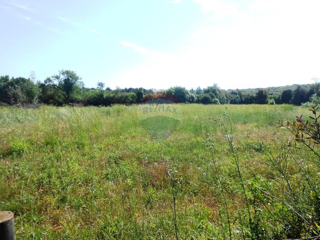 Image 5410287 - 4