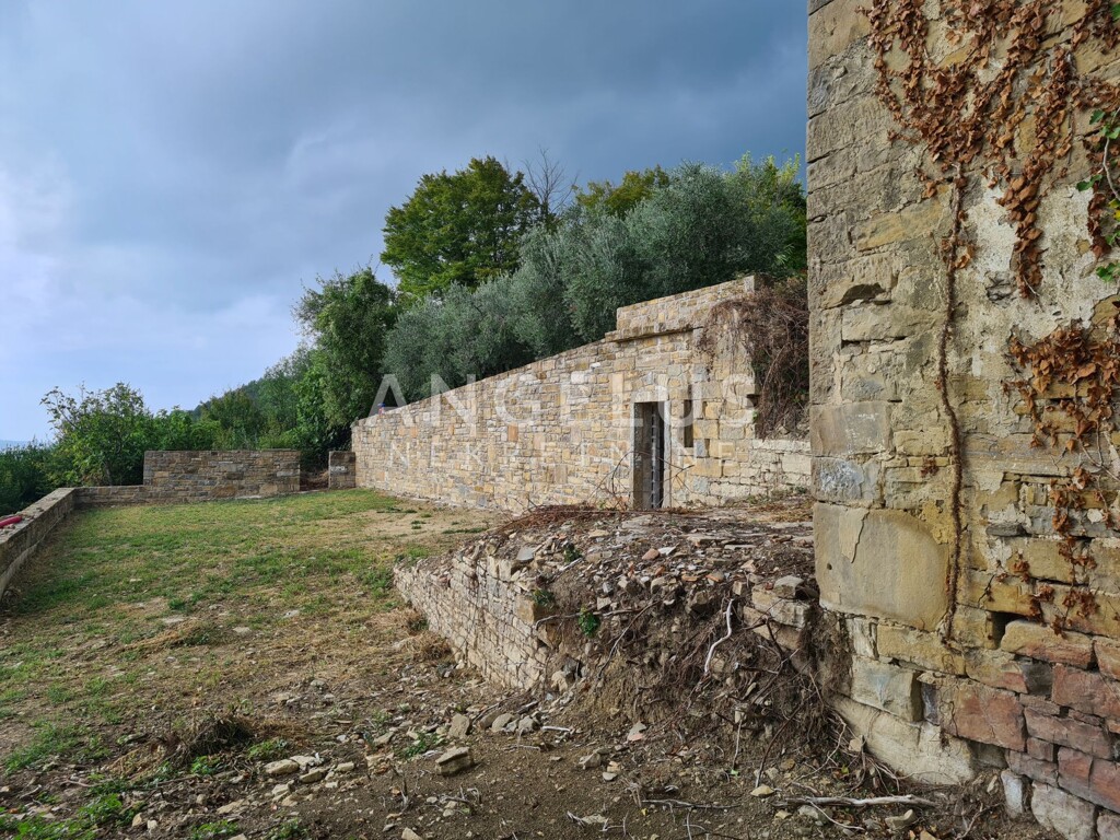 Image 6208412 - 4