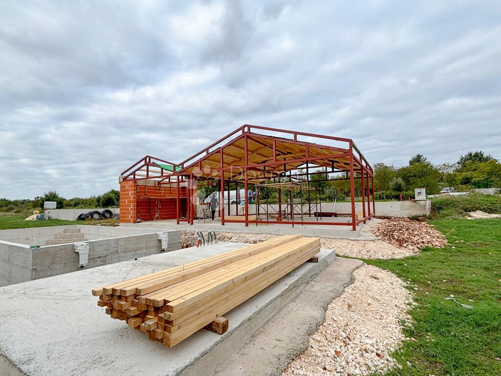 Image 12