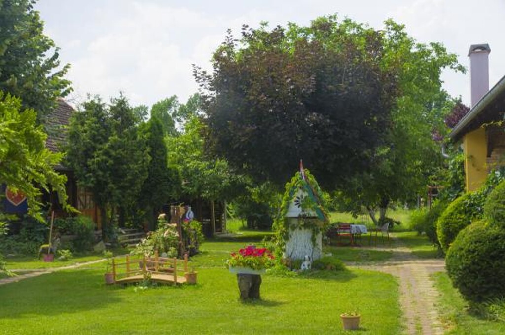Image 3810769 - 8