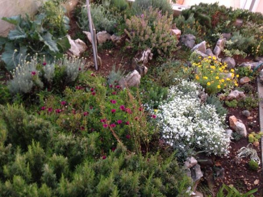 Image 3811795 - 7