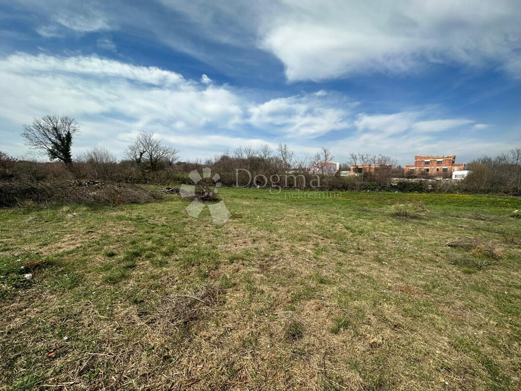 Image 14