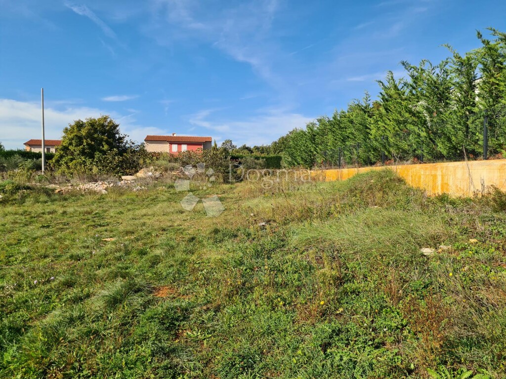 Image 14