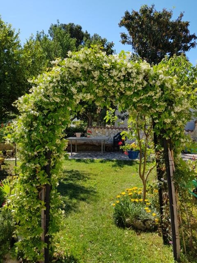 Image 3810733 - 22