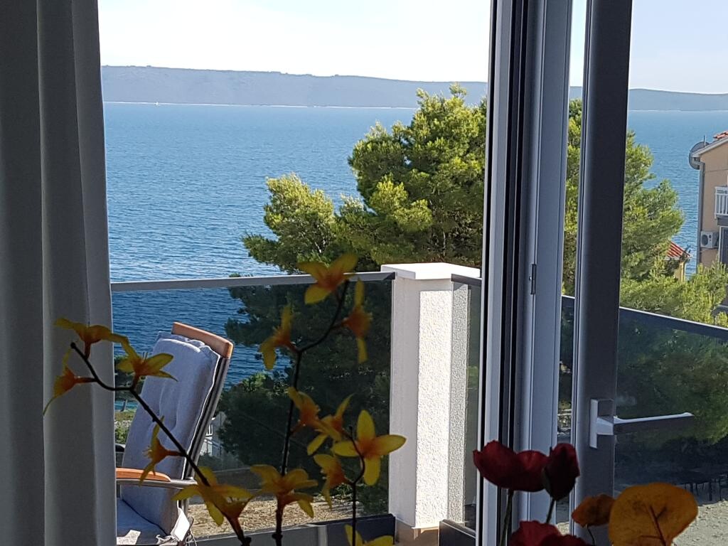 Image 12