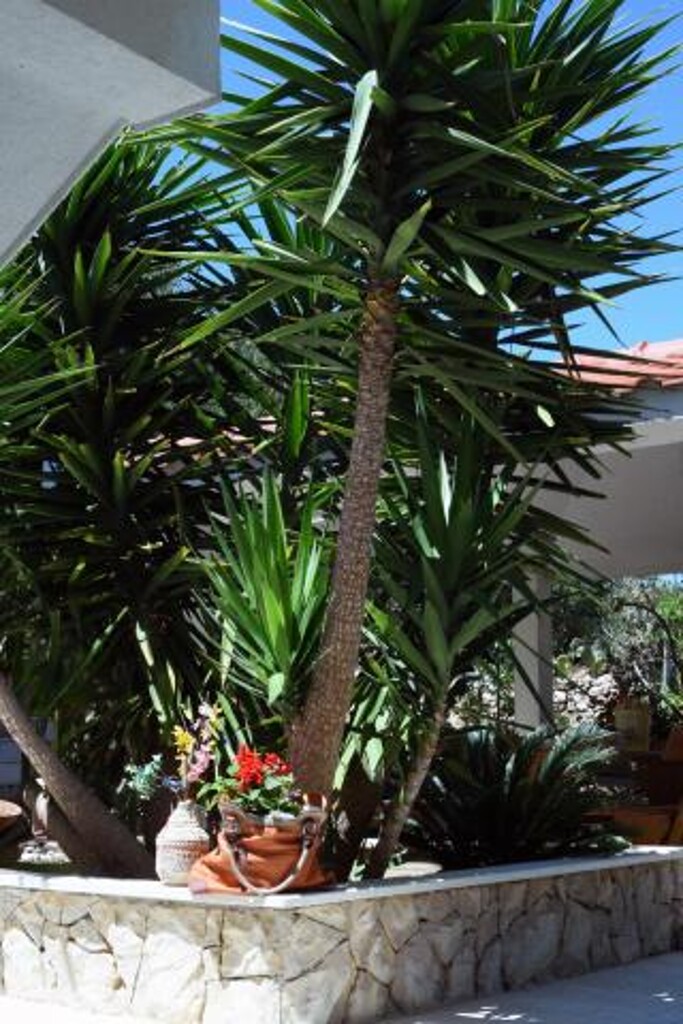 Image 3811528 - 7