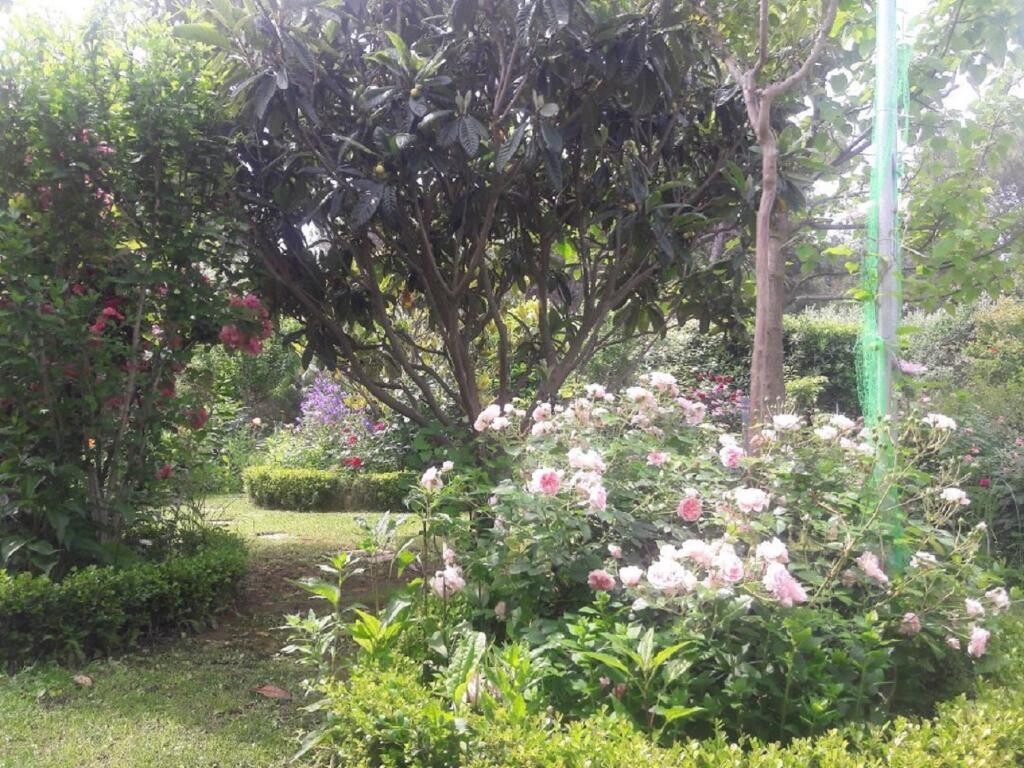 Image 22
