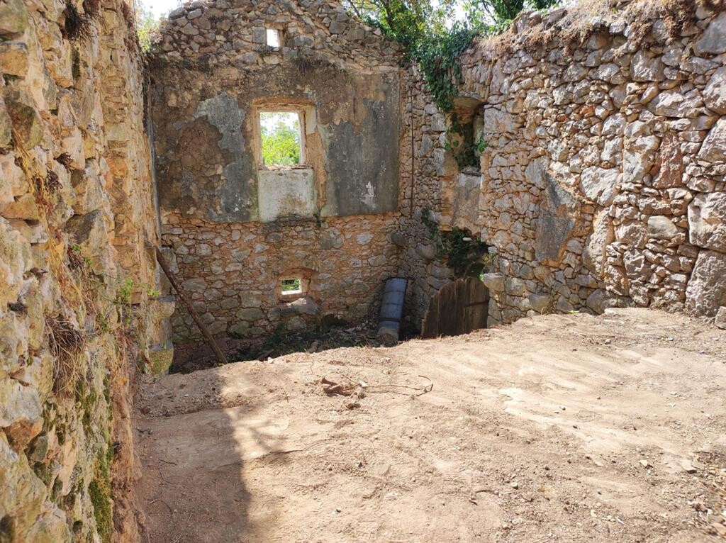 Image 8