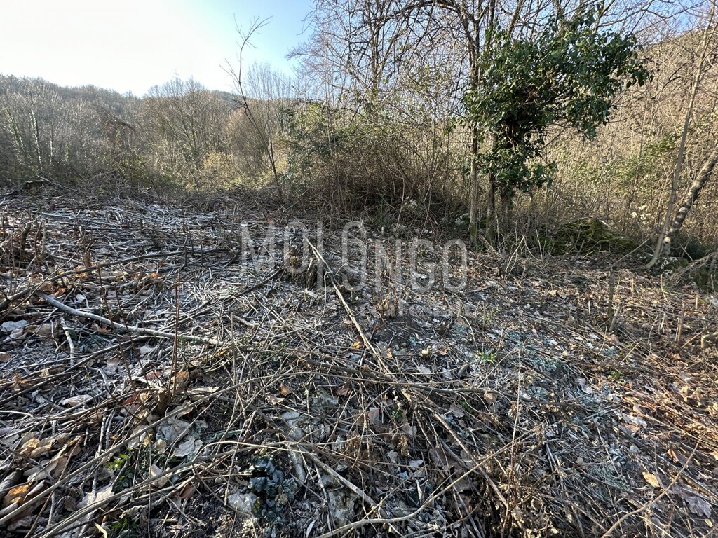 Image 18