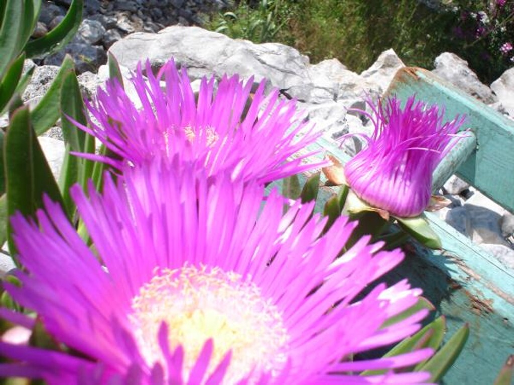 Image 3838981 - 4