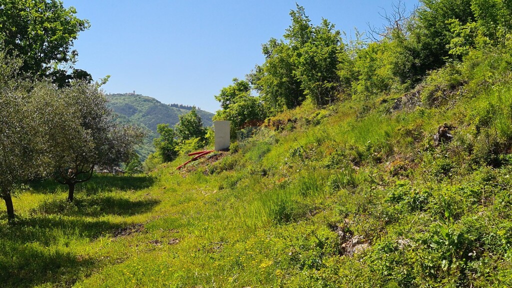 Image 13
