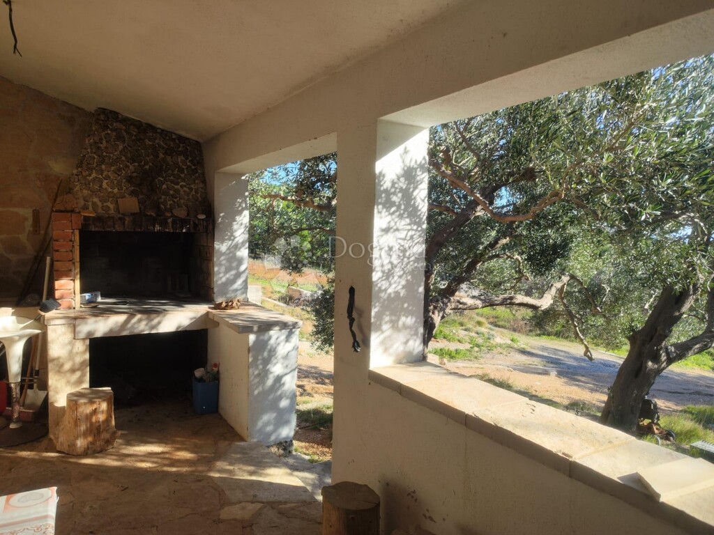 Image 10