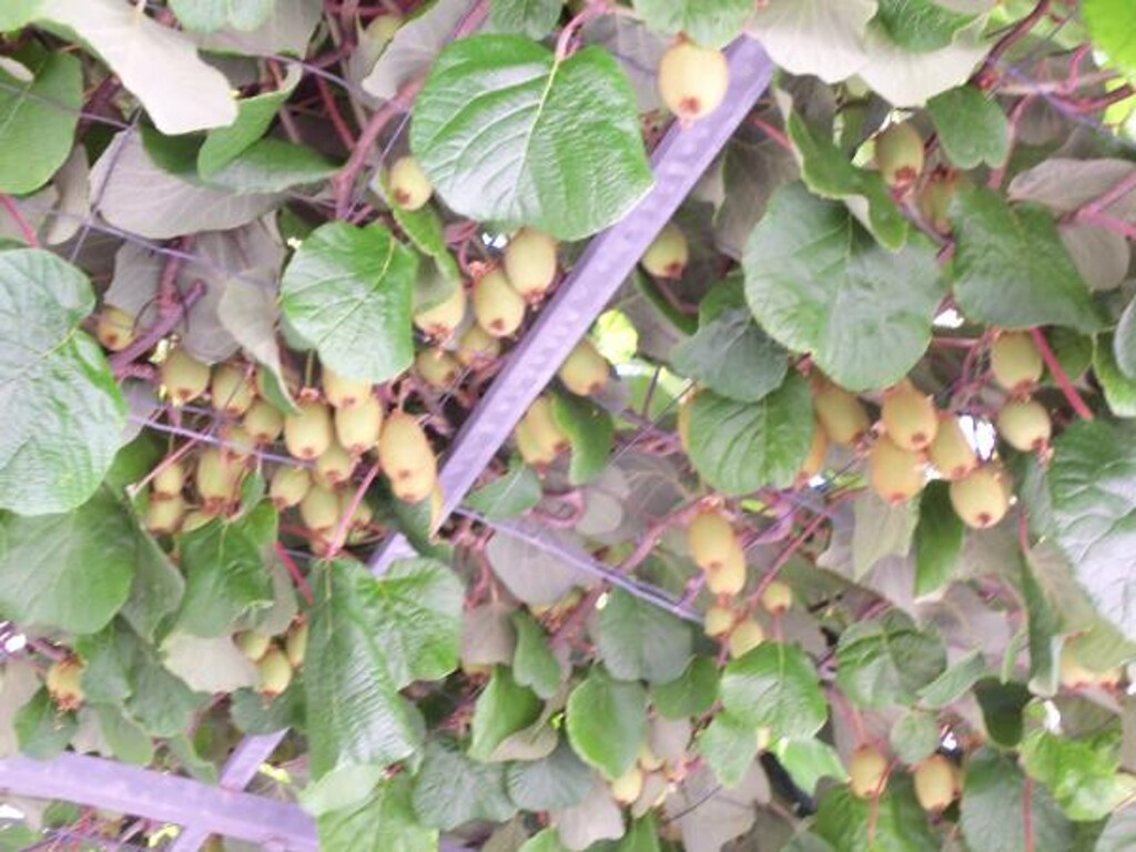 Image 3811443 - 10