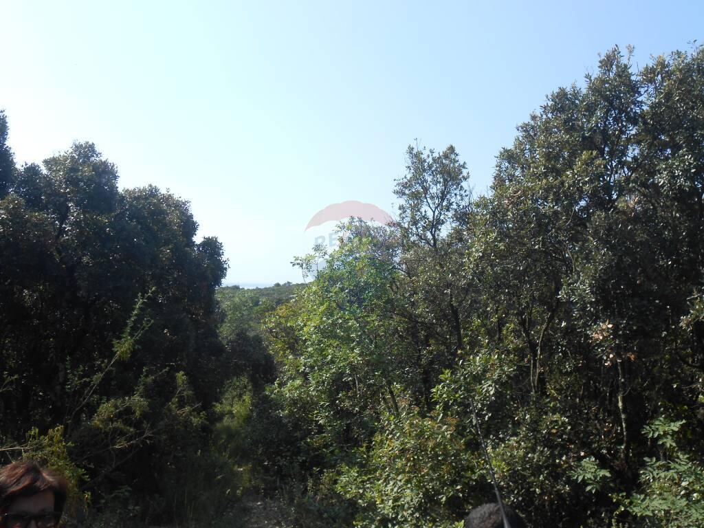 Image 5410506 - 1
