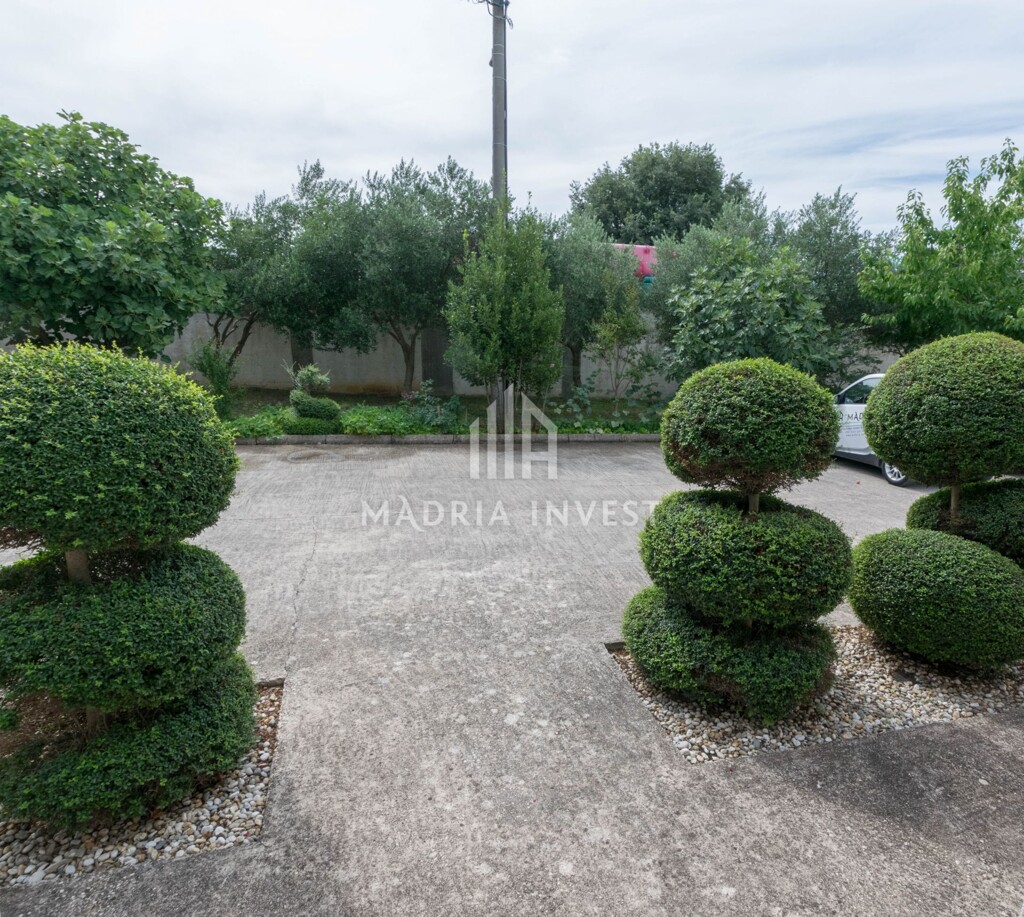 Image 15
