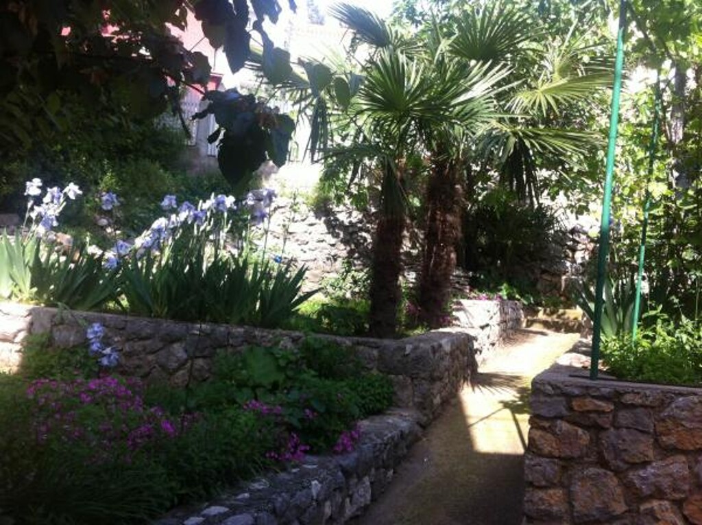 Image 3811604 - 6