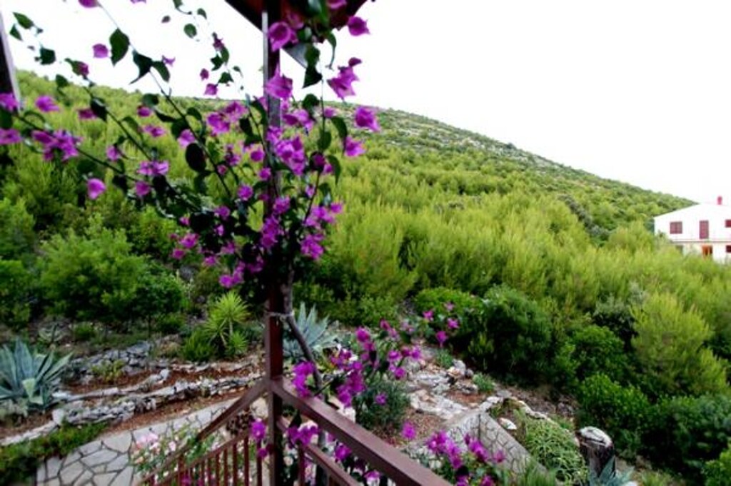 Image 3813363 - 7