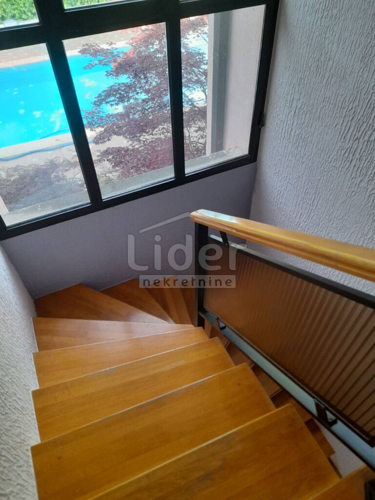 Image 19