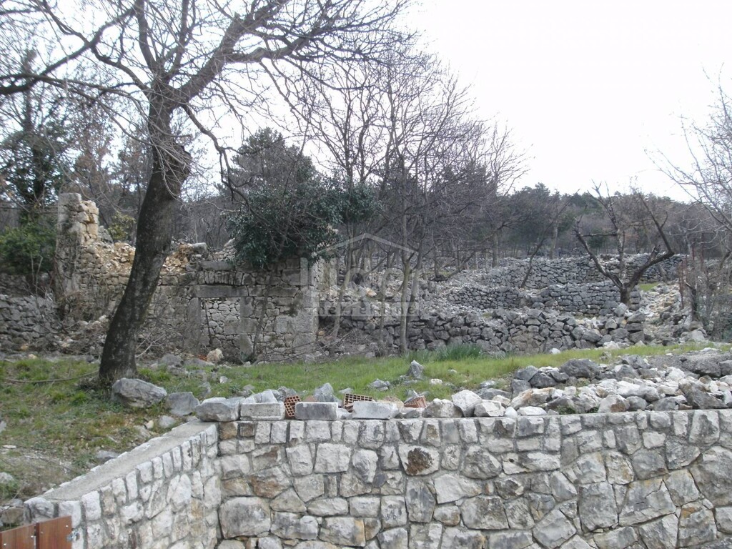 Image 13